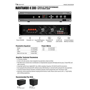 Nakamichi AVANTGARDE X300 Power Amplifier 
